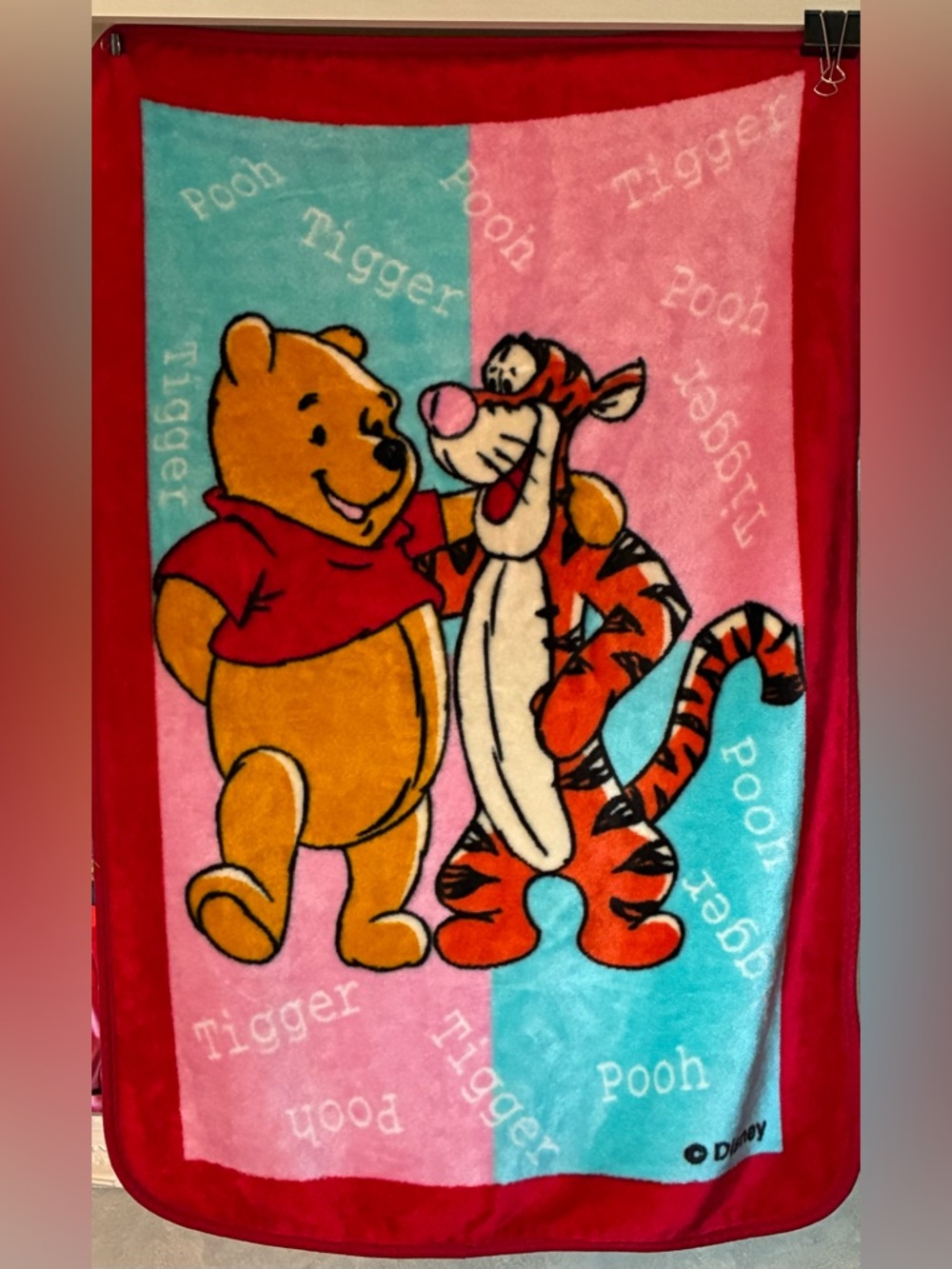 Vintage Disney Winnie the Pooh & Tigger Plush Throw Blanket - Pink & Blue